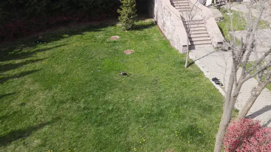 Looking straight down at the courtyard