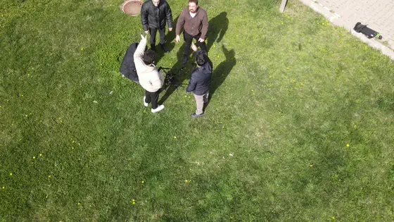 Straight down over the lawn