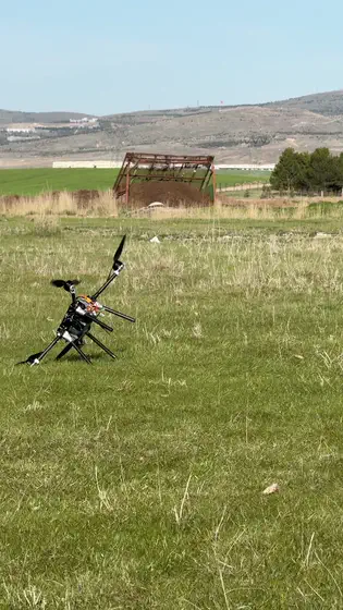 Landed in the grass