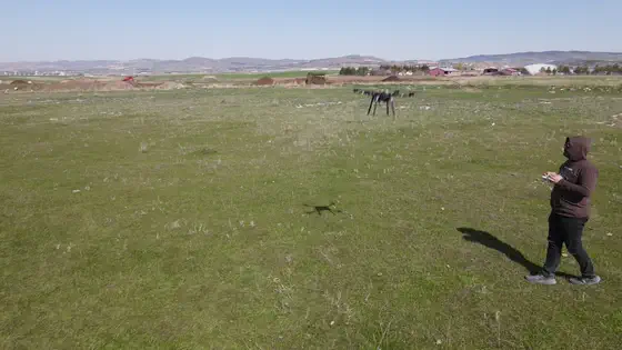 Aircraft and pilot, from the air