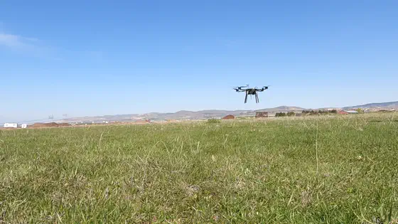 A low pass over the grass